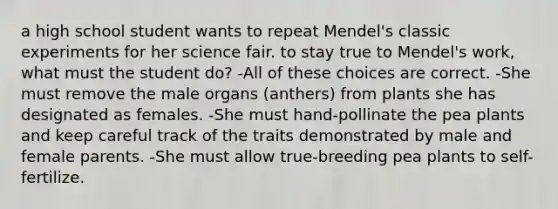 a high school student wants to repeat Mendel's classic experiments for her science fair. to stay true to Mendel's work, what must the student do? -All of these choices are correct. -She must remove the male organs (anthers) from plants she has designated as females. -She must hand-pollinate the pea plants and keep careful track of the traits demonstrated by male and female parents. -She must allow true-breeding pea plants to self-fertilize.