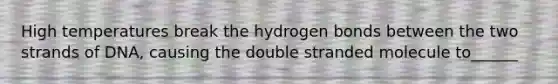 High temperatures break the hydrogen bonds between the two strands of DNA, causing the double stranded molecule to______