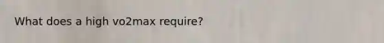 What does a high vo2max require?