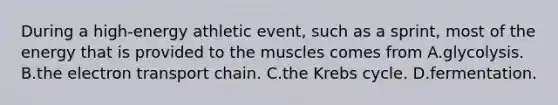 During a high-energy athletic event, such as a sprint, most of the energy that is provided to the muscles comes from A.glycolysis. B.<a href='https://www.questionai.com/knowledge/k57oGBr0HP-the-electron-transport-chain' class='anchor-knowledge'>the electron transport chain</a>. C.the Krebs cycle. D.fermentation.