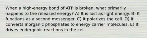 When a high-energy bond of ATP is broken, what primarily happens to the released energy? A) It is lost as light energy. B) It functions as a second messenger. C) It polarizes the cell. D) It converts inorganic phosphates to energy carrier molecules. E) It drives endergonic reactions in the cell.