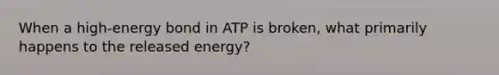 When a high-energy bond in ATP is broken, what primarily happens to the released energy?