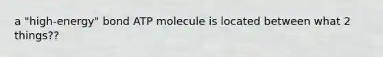 a "high-energy" bond ATP molecule is located between what 2 things??