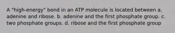 A "high-energy" bond in an ATP molecule is located between a. adenine and ribose. b. adenine and the first phosphate group. c. two phosphate groups. d. ribose and the first phosphate group