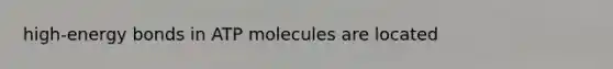 high-energy bonds in ATP molecules are located