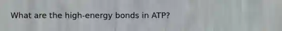 What are the high-energy bonds in ATP?