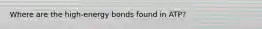 Where are the high-energy bonds found in ATP?