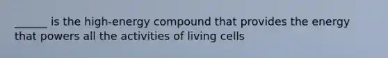 ______ is the high-energy compound that provides the energy that powers all the activities of living cells