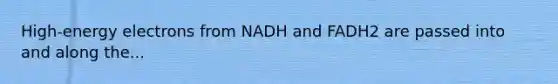 High-energy electrons from NADH and FADH2 are passed into and along the...