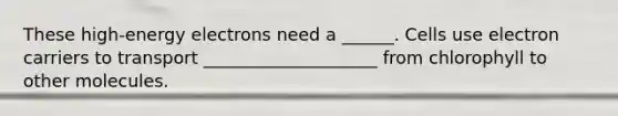 These high-energy electrons need a ______. Cells use electron carriers to transport ____________________ from chlorophyll to other molecules.