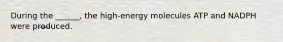 During the ______, the high-energy molecules ATP and NADPH were produced.