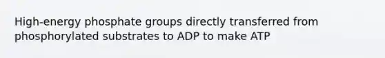 High-energy phosphate groups directly transferred from phosphorylated substrates to ADP to make ATP