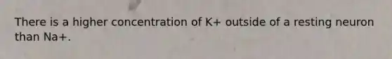 There is a higher concentration of K+ outside of a resting neuron than Na+.