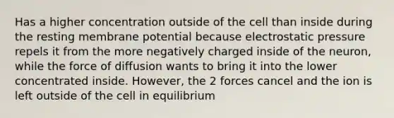 Has a higher concentration outside of the cell than inside during the resting membrane potential because electrostatic pressure repels it from the more negatively charged inside of the neuron, while the force of diffusion wants to bring it into the lower concentrated inside. However, the 2 forces cancel and the ion is left outside of the cell in equilibrium