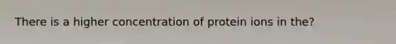 There is a higher concentration of protein ions in the?