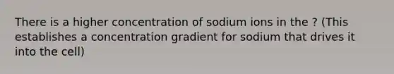 There is a higher concentration of sodium ions in the ? (This establishes a concentration gradient for sodium that drives it into the cell)