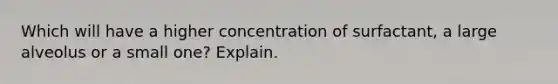 Which will have a higher concentration of surfactant, a large alveolus or a small one? Explain.