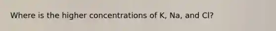 Where is the higher concentrations of K, Na, and Cl?