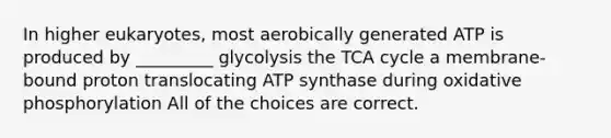 In higher eukaryotes, most aerobically generated ATP is produced by _________ glycolysis the TCA cycle a membrane-bound proton translocating ATP synthase during oxidative phosphorylation All of the choices are correct.