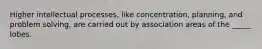 Higher intellectual processes, like concentration, planning, and problem solving, are carried out by association areas of the _____ lobes.