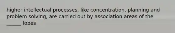 higher intellectual processes, like concentration, planning and problem solving, are carried out by association areas of the ______ lobes