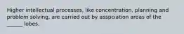 Higher intellectual processes, like concentration, planning and problem solving, are carried out by asspciation areas of the ______ lobes.