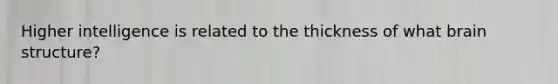 Higher intelligence is related to the thickness of what brain structure?