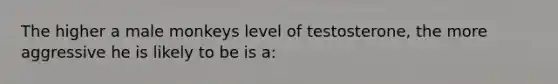 The higher a male monkeys level of testosterone, the more aggressive he is likely to be is a: