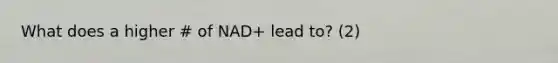 What does a higher # of NAD+ lead to? (2)