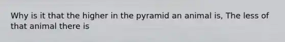 Why is it that the higher in the pyramid an animal is, The less of that animal there is