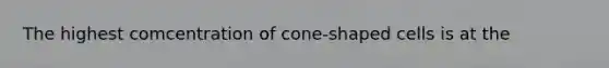 The highest comcentration of cone-shaped cells is at the