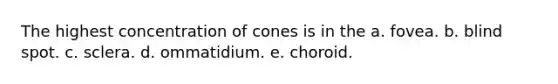 The highest concentration of cones is in the a. fovea. b. blind spot. c. sclera. d. ommatidium. e. choroid.