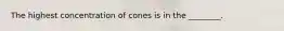 The highest concentration of cones is in the ________.