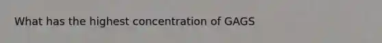 What has the highest concentration of GAGS