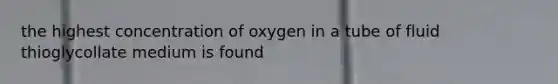 the highest concentration of oxygen in a tube of fluid thioglycollate medium is found