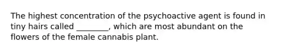 The highest concentration of the psychoactive agent is found in tiny hairs called ________, which are most abundant on the flowers of the female cannabis plant.