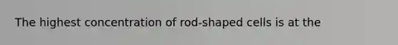 The highest concentration of rod-shaped cells is at the