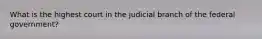 What is the highest court in the judicial branch of the federal government?