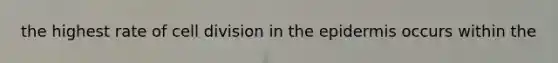 the highest rate of cell division in the epidermis occurs within the