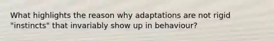 What highlights the reason why adaptations are not rigid "instincts" that invariably show up in behaviour?