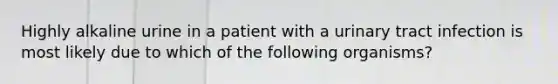 Highly alkaline urine in a patient with a urinary tract infection is most likely due to which of the following organisms?