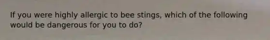 If you were highly allergic to bee stings, which of the following would be dangerous for you to do?