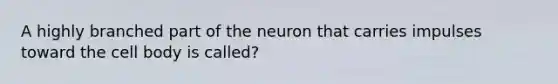 A highly branched part of the neuron that carries impulses toward the cell body is called?