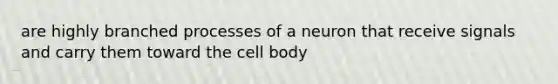 are highly branched processes of a neuron that receive signals and carry them toward the cell body