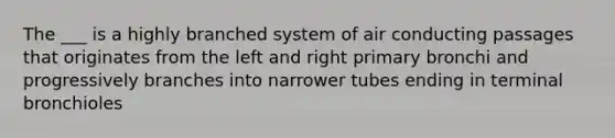 The ___ is a highly branched system of air conducting passages that originates from the left and right primary bronchi and progressively branches into narrower tubes ending in terminal bronchioles