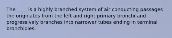 The ____ is a highly branched system of air conducting passages the originates from the left and right primary bronchi and progressively branches into narrower tubes ending in terminal bronchioles.