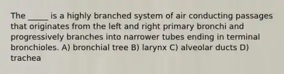 The _____ is a highly branched system of air conducting passages that originates from the left and right primary bronchi and progressively branches into narrower tubes ending in terminal bronchioles. A) bronchial tree B) larynx C) alveolar ducts D) trachea