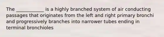 The ____________ is a highly branched system of air conducting passages that originates from the left and right primary bronchi and progressively branches into narrower tubes ending in terminal bronchioles