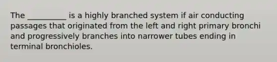 The __________ is a highly branched system if air conducting passages that originated from the left and right primary bronchi and progressively branches into narrower tubes ending in terminal bronchioles.