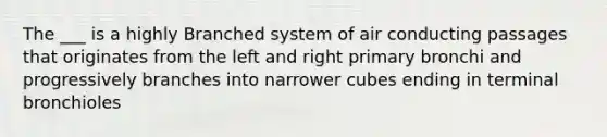 The ___ is a highly Branched system of air conducting passages that originates from the left and right primary bronchi and progressively branches into narrower cubes ending in terminal bronchioles